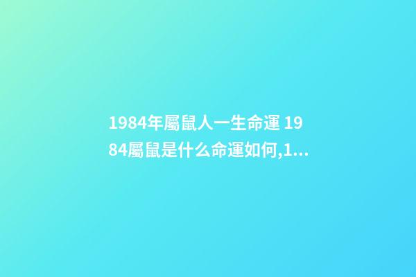 1984年屬鼠人一生命運 1984屬鼠是什么命運如何,1984年生人屬鼠是什么命-第1張-觀點-玄機派